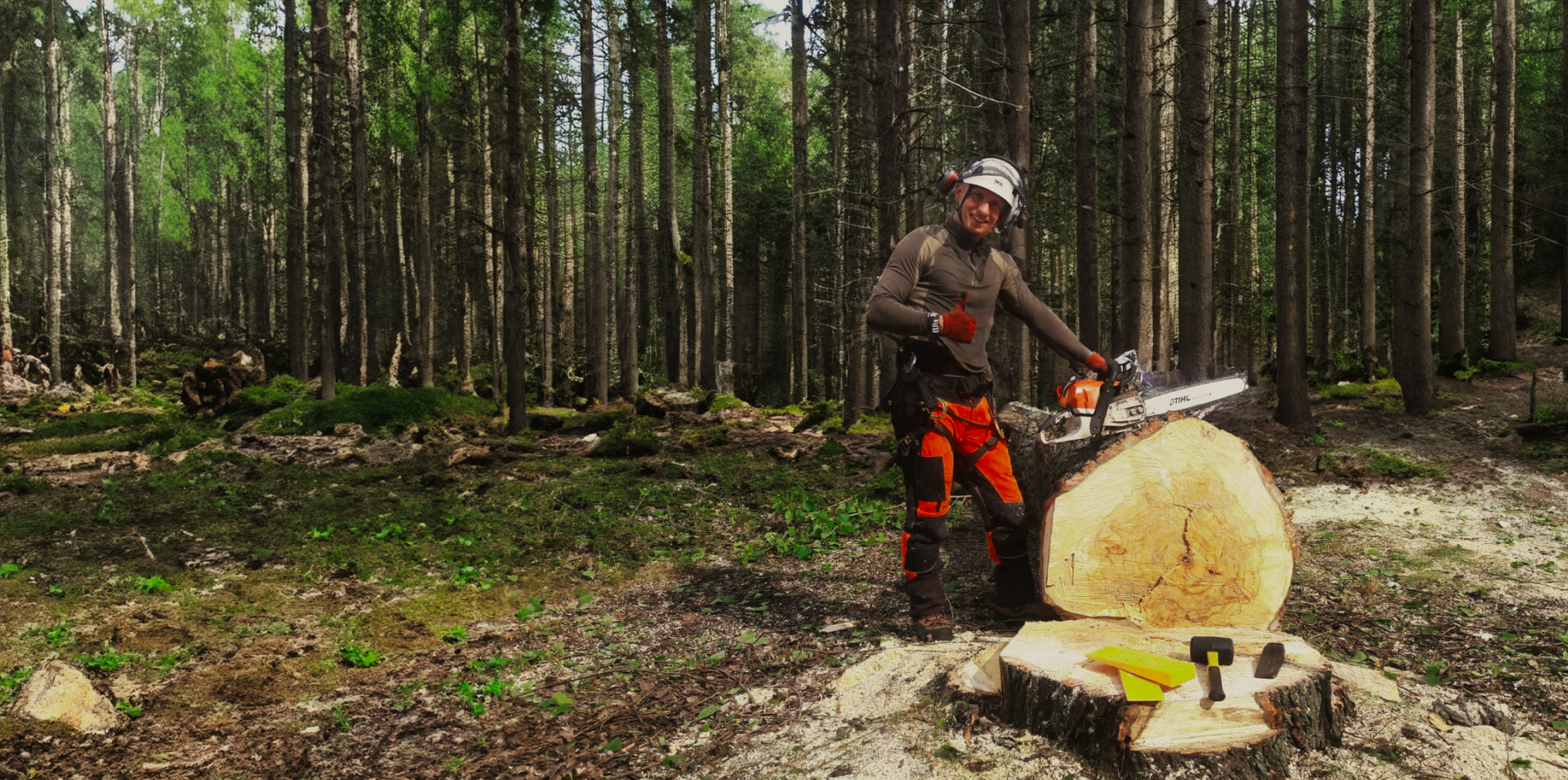 Wycinka i pielęgnacja drzew – arborysta Poznań, Puszczykow
