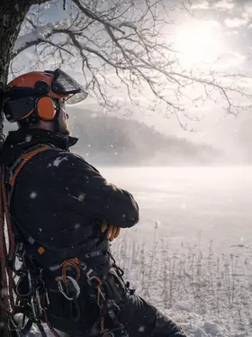 Pielęgnacja i przycinanie drzewa zimą na linach – arborysta Poznań