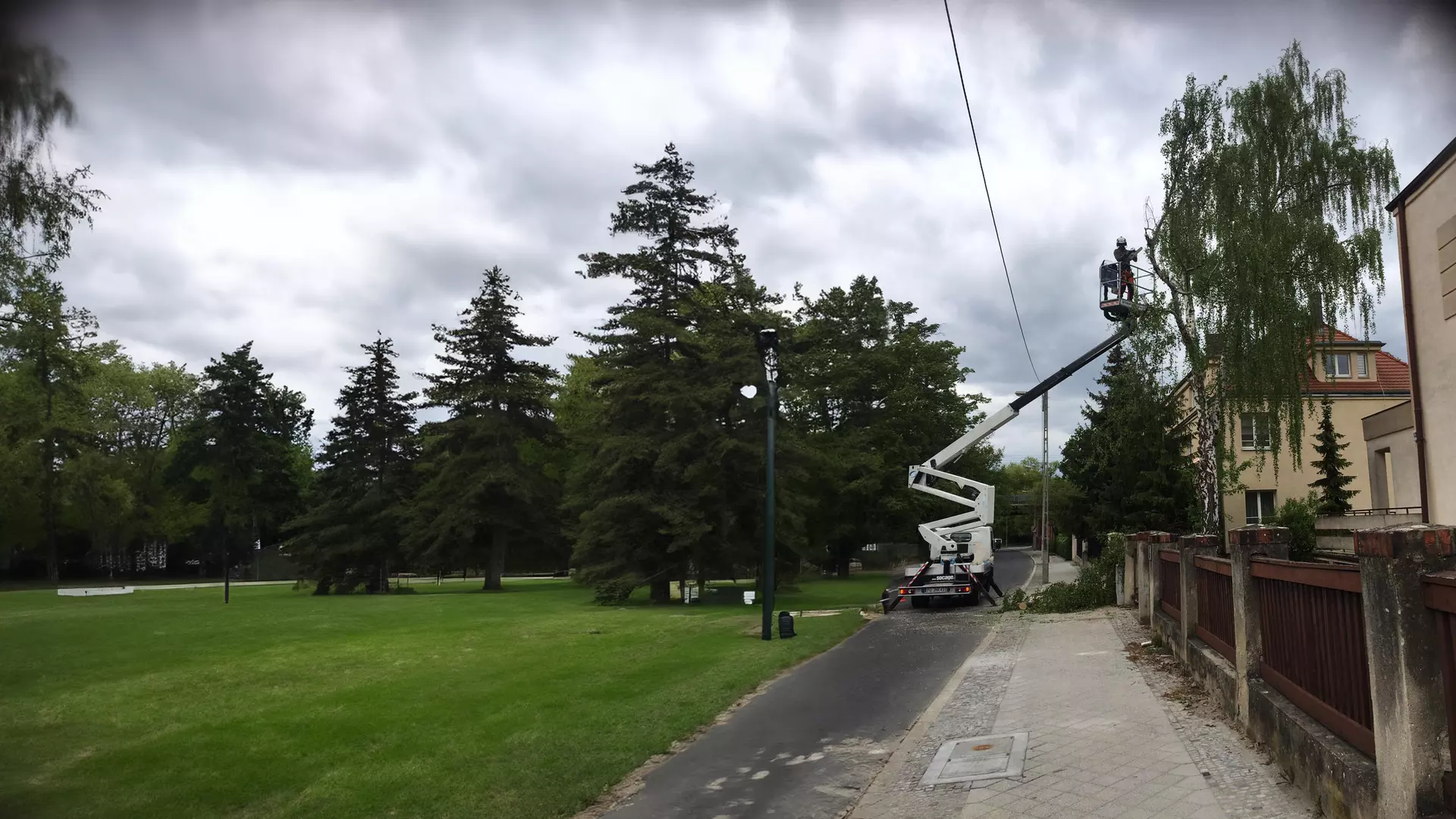 Pielęgnacja i przycinanie drzew