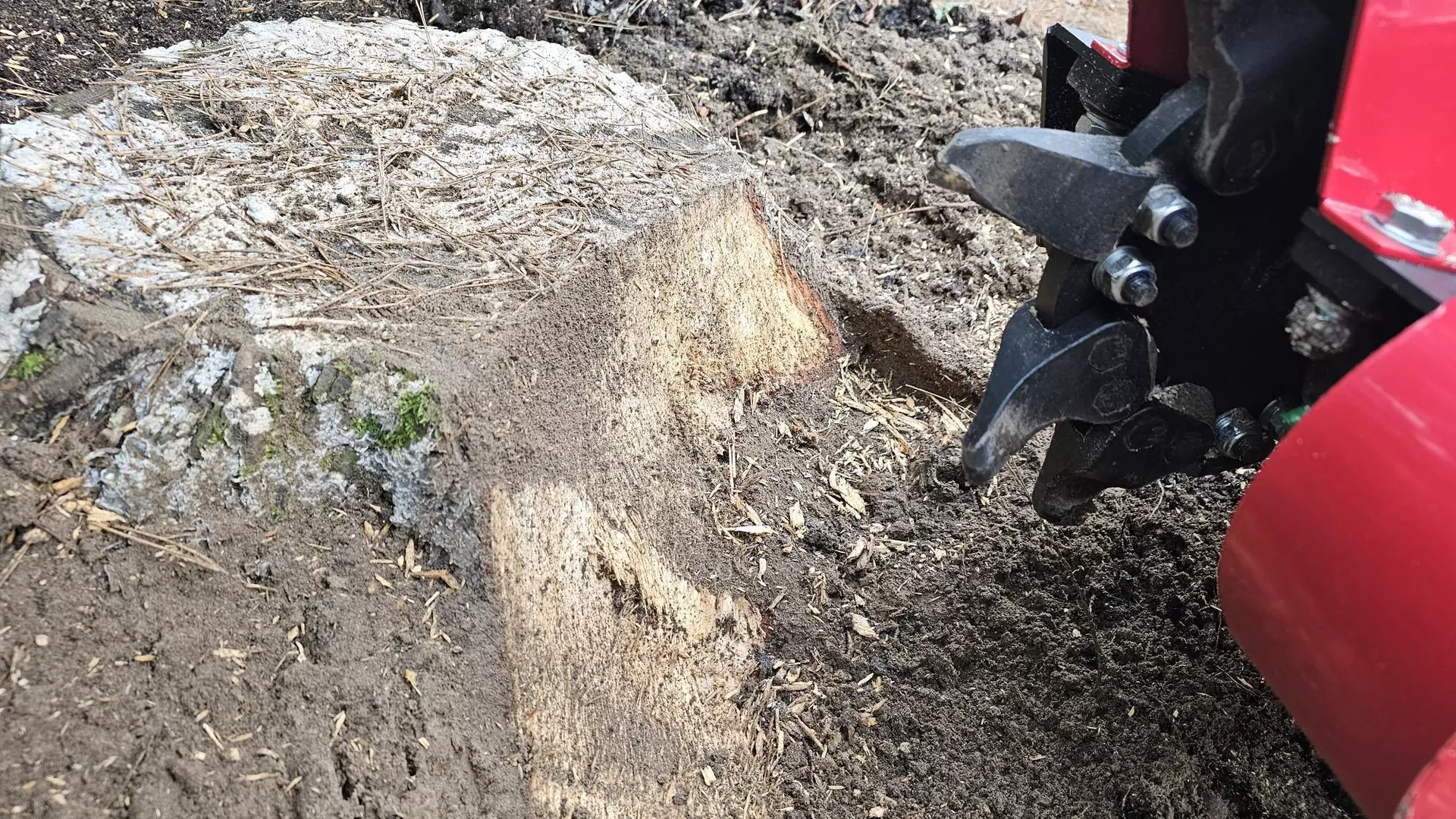 Frezowanie pni - skuteczne usuwanie pni i korzeni